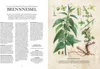 Die Natur-Apotheke Anteprima dell’immagine prodotto 4