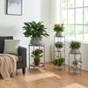 A living room scene with multiple plant stands holding various plants near a window. Produktbild-Vorschau