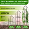 TTL GARDEN Rankhilfe Obelisk XL 195x40cm braun – Rankgitter Produktbild-Vorschau 5