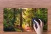 MuchoWow® Mauspad Mousepad Wald - Weg - Bäume - Grün - Produktbild-Vorschau 3