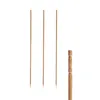 PAPSTAR Fingerfood-Spieße "pure" gedrechselt Länge: 150 mm Produktbild-Vorschau 9