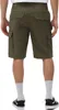 Dickies Millerville Kurze Hose Grün 34 Mann Grün 34 Produktbild-Vorschau 5