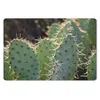 MuchoWow® Mauspad Mousepad Botanischer Kaktus Fotodruck Produktbild-Vorschau 1