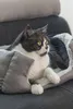Beeztees Katzenbett Baboo 48 x 37 x 18 cm grau-hellgrau, Produktbild-Vorschau 4