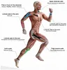 Kinesiotaping bandeKinésiologiepatch 5m Voir les images du produit 10