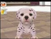 A digital rendering of a Dalmatian puppy. Produktbild-Vorschau