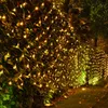 A garden hedge decorated with yellow fairy lights at night. Produktbild-Vorschau