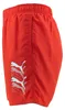 Pantaloncini Puma 701226821-002 da Uomo Anteprima dell’immagine prodotto 7