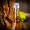 KADAX Bouteilles à liqueur 500ml, 50 pièces, Bouteilles Voir les images du produit 6