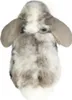 Teddy Hermann Peluche lapin noir 17 cm Lapin en peluche Voir les images du produit 2