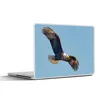 MuchoWow® Laptop Aufkleber Sticker Cover Vogel - Seeadler - Produktbild-Vorschau 1