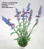 1 Strauß Lavendelzweige, künstlich, pastell lila ca. 30 cm Produktbild-Vorschau 2