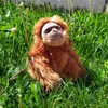 Orang-outan en peluche Voir les images du produit 2