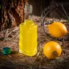 A bottle of yellow liquid, likely liqueur, sits on a wooden surface with lemons and straw. A green cap is nearby. Produktbild-Vorschau