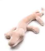 A plush toy salamander lying on a white background. Produktbild-Vorschau