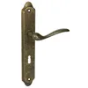 A single antique gold door handle set on a white background. Produktbild-Vorschau