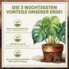 A marketing image for plant soil, featuring a Monstera plant and text highlighting its benefits. Produktbild-Vorschau