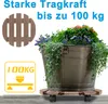 LZQ 2 Stück WPC Pflanzenroller ø30 cm 100 kg Tragkraft, Produktbild-Vorschau 5