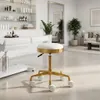 Tabouret cosmétique rond tabouret de coiffeur tabouret de Voir les images du produit 2
