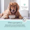 Bronchial Plus 100 ml - Unterstützt die Atemwege von Hunden Produktbild-Vorschau 7