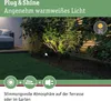 Paulmann Plug & Shine LED Gartenstrahler Ito Einzelspot Produktbild-Vorschau 6