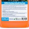 Clever Aqua Milchsäurebakterien Teich 6000ml probiotische Produktbild-Vorschau 5