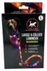 Guinzaglio e collare luminosi per cani – Guinzaglio per Anteprima dell’immagine prodotto 1