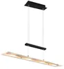 Trio Leuchten LED Pendelleuchte Milos 4x5W schwarz, Metall Produktbild-Vorschau 6