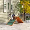 PawHut Hunde Agility Steg Agility-Ausrüstung für Hunde mit Produktbild-Vorschau 2