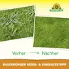 Engrais pour gazon Neudorff, élimine la mousse et les Voir les images du produit 4
