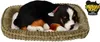 Perfect Petzzz 96644 Berner Sennenhund Produktbild-Vorschau 1