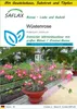 SAFLAX Anzucht Set - Wüstenrose - Adenium obesum - 8 Samen Produktbild-Vorschau 1