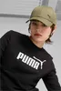 Puma Ess Metal Kappe Grün  Mann Grün One Size Produktbild-Vorschau 2