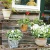 A collection of potted plants displayed on a multi-tiered metal plant stand against a brick wall. Anteprima dell’immagine prodotto