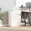 vidaXL Szafki z 4 szufladami, 2 sztuki, białe, 60x31x40 cm, Podgląd zdjęcia produktu 3