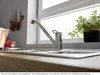 A kitchen sink area with a faucet, a bowl of raspberries, and a potted plant. Produktbild-Vorschau