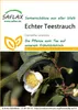 Artikelbild 1 von 'Echter Teestrauch' aus der Kategorie Exotische Samen Anteprima dell’immagine prodotto