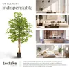 Ficus artificiel FIDA à l'aspect naturel - 160 cm Voir les images du produit 7
