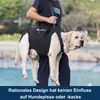 A person is carrying a large dog using a specialized harness, outdoors near a body of water. Produktbild-Vorschau