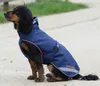 Kocyk dla psa Bucas 0g Therapy Dog Rug Płaszcz dla psa Podgląd zdjęcia produktu 1