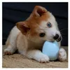 Europet Bernina Drehendes Spielzeug Petit Balu blau Produktbild-Vorschau 6