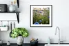 MuchoWow® Gerahmtes Poster Blumen - Sommer - Kornblume - Produktbild-Vorschau 4