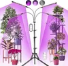 Railee Plant Lamp LED -Ständer, 192 LEDs, Produktbild-Vorschau 1