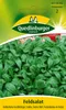 Quedlinburger Saatgut - Feldsalat Holländischer Produktbild-Vorschau 3
