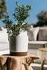 A white planter with a green plant sits on a rustic wooden table outdoors, with blurred white furniture and a blue sky in the background. Anteprima dell’immagine prodotto