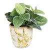 A potted plant with green leaves and a decorative pot. Produktbild-Vorschau