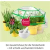 Kosmos Kräuter-Garten, Experimentierkasten Produktbild-Vorschau 4
