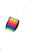 HQ Stabloser Drachen Parafoil Easy Rainbow Productafbeelding-voorbeeld 4