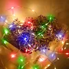 A bouquet of dried flowers is decorated with colorful LED string lights. Produktbild-Vorschau