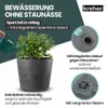 Kreher® XXL Pflanzkübel „Millennium“ Ø59xH49 cm - 80L - Produktbild-Vorschau 6